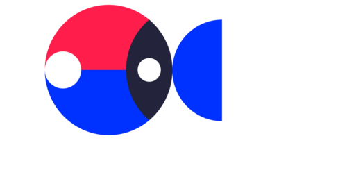 Panéliste et inter