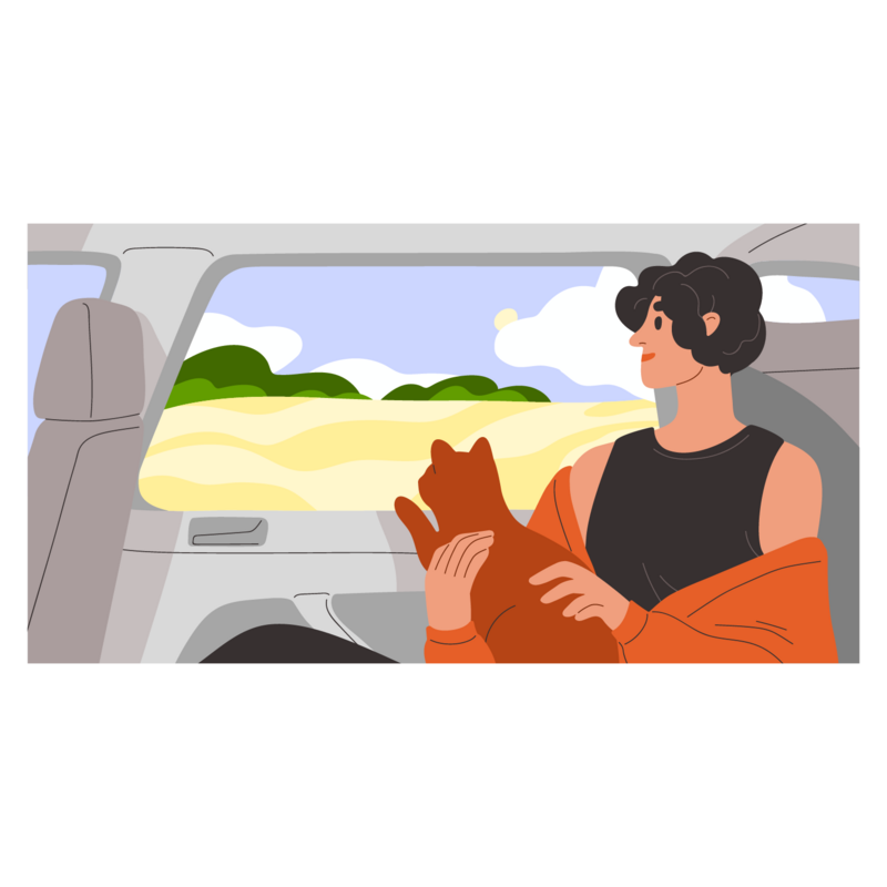 dans la voiture